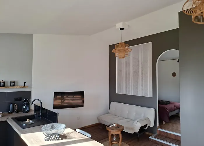 Apartment De La Source