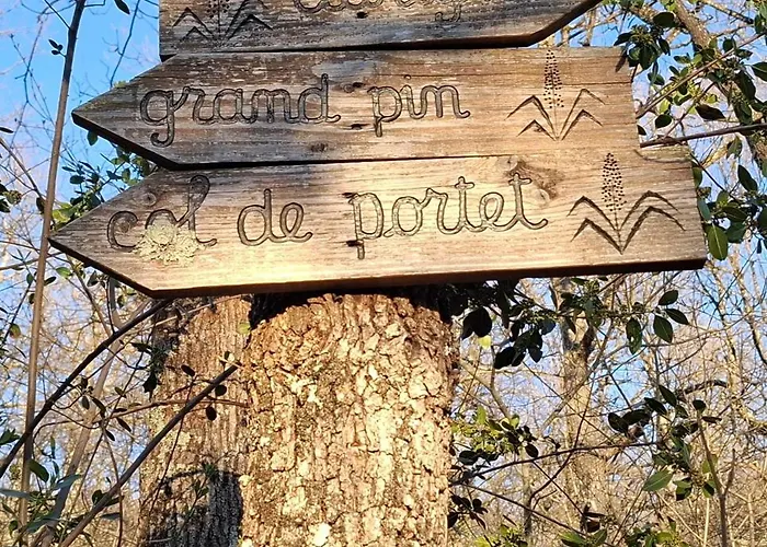 Apartment De La Source